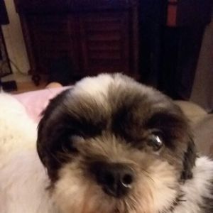 Meet your Posher, Wendy